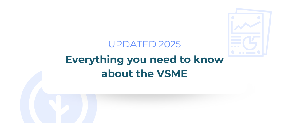 VSME 2025: Complete Guide