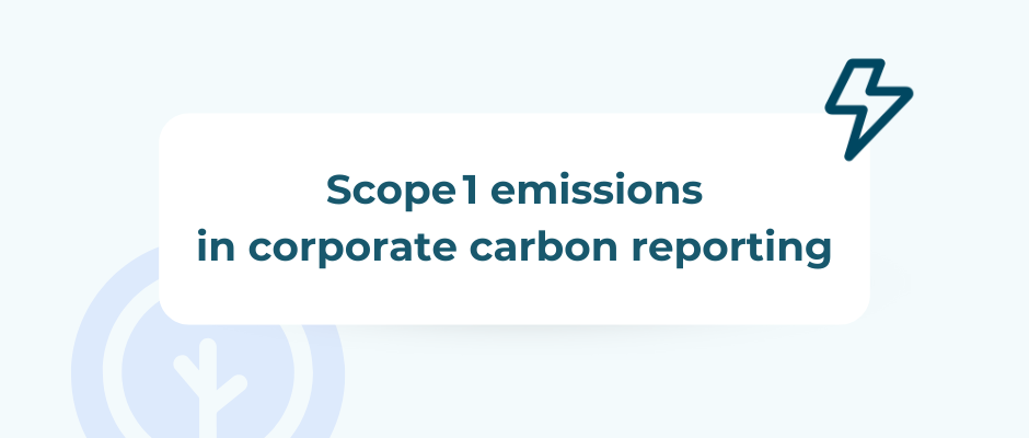 Scope 1 emissions in corporate carbon reporting